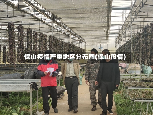 保山疫情严重地区分布图(保山役情)-第3张图片