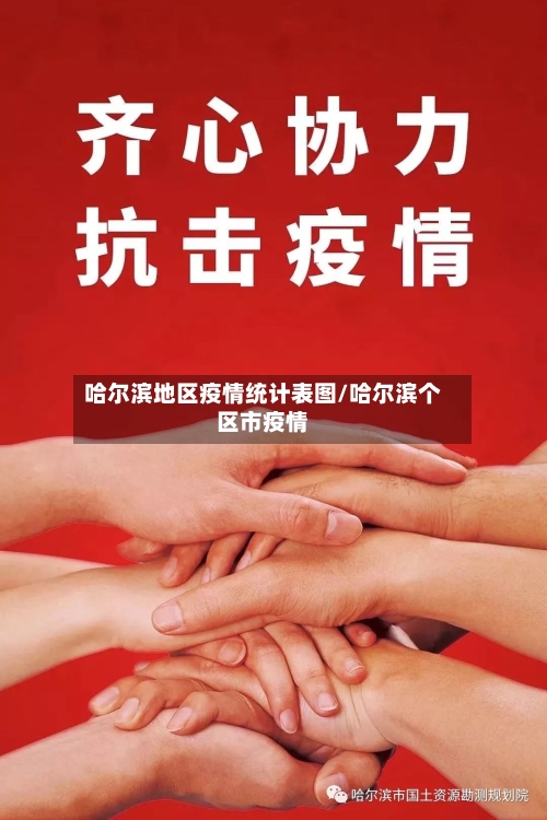 哈尔滨地区疫情统计表图/哈尔滨个区市疫情-第2张图片