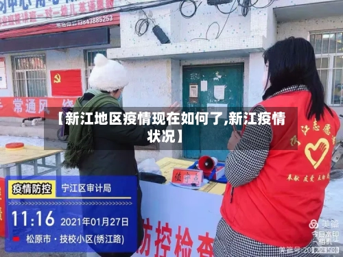 【新江地区疫情现在如何了,新江疫情状况】-第3张图片