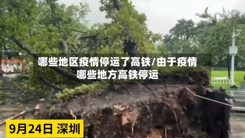 哪些地区疫情停运了高铁/由于疫情哪些地方高铁停运-第2张图片