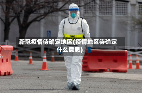 新冠疫情待确定地区(疫情地区待确定什么意思)-第2张图片