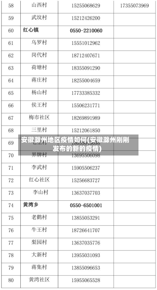 安徽滁州地区疫情如何(安徽滁州刚刚发布的新的疫情)-第2张图片