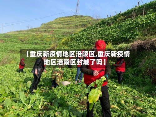 【重庆新疫情地区涪陵区,重庆新疫情地区涪陵区封城了吗】-第2张图片