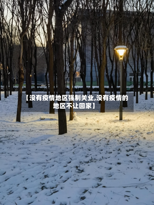【没有疫情地区强制关业,没有疫情的地区不让回家】-第2张图片