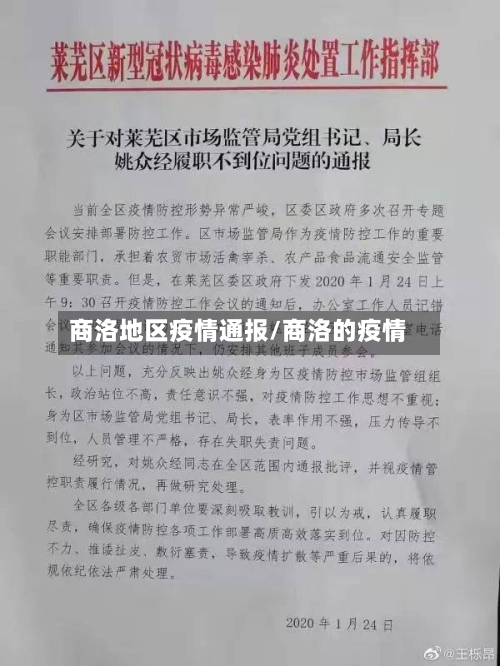 商洛地区疫情通报/商洛的疫情-第1张图片