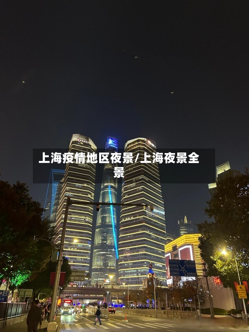 上海疫情地区夜景/上海夜景全景-第1张图片