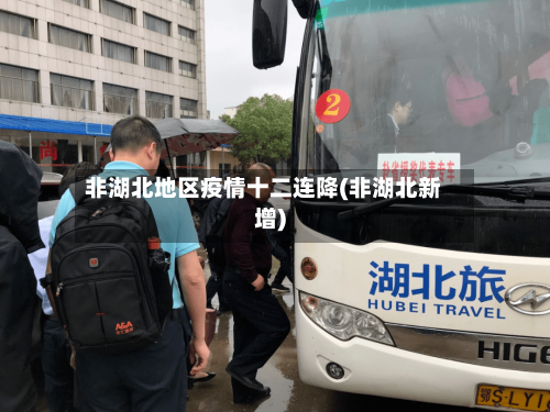 非湖北地区疫情十二连降(非湖北新增)-第2张图片