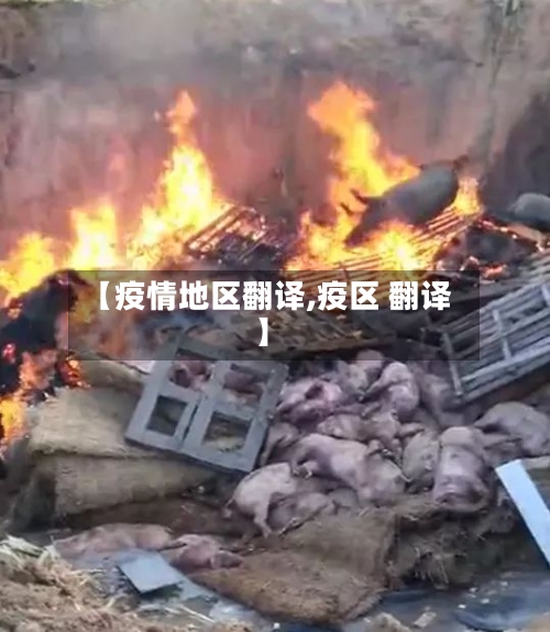 【疫情地区翻译,疫区 翻译】-第1张图片