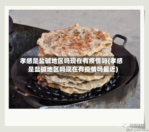 孝感是盐碱地区吗现在有疫情吗(孝感是盐碱地区吗现在有疫情吗最近)-第1张图片