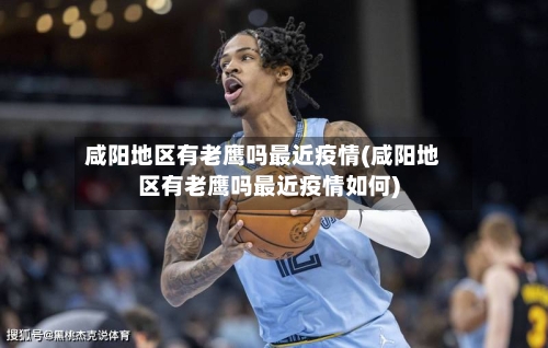 咸阳地区有老鹰吗最近疫情(咸阳地区有老鹰吗最近疫情如何)-第2张图片
