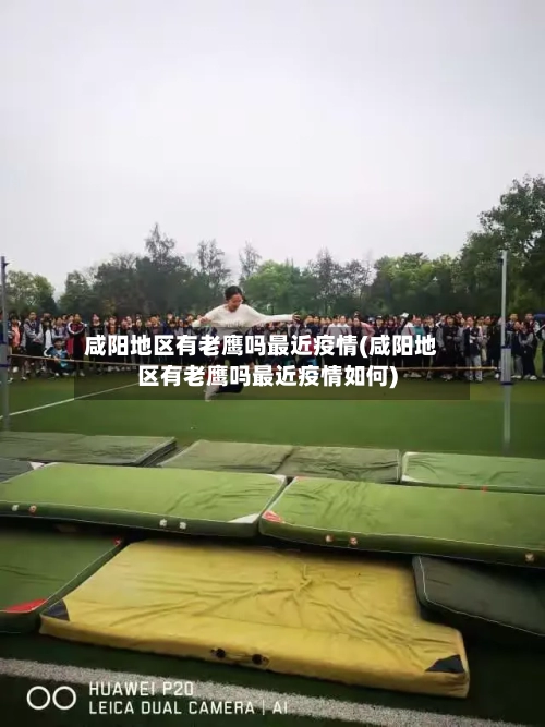 咸阳地区有老鹰吗最近疫情(咸阳地区有老鹰吗最近疫情如何)-第1张图片