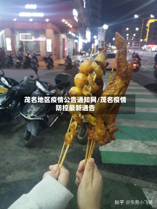 茂名地区疫情公告通知网/茂名疫情防控最新通告-第2张图片