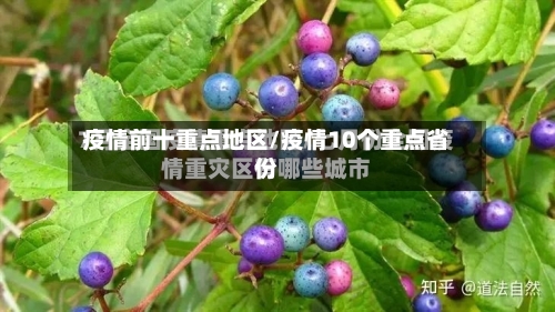疫情前十重点地区/疫情10个重点省份-第2张图片