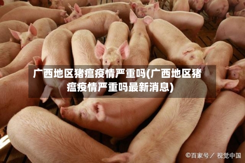 广西地区猪瘟疫情严重吗(广西地区猪瘟疫情严重吗最新消息)-第1张图片