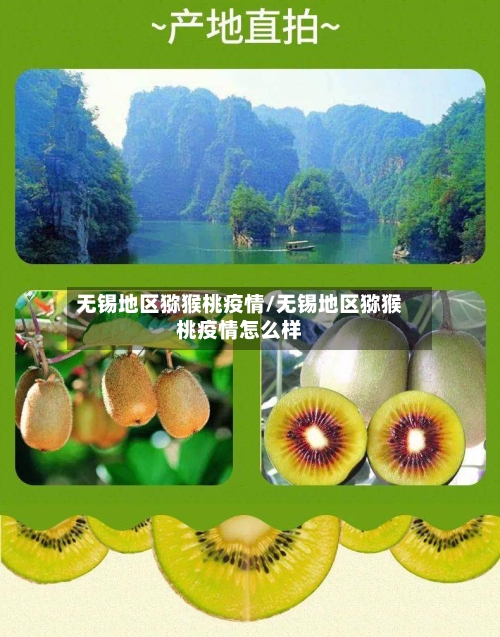 无锡地区猕猴桃疫情/无锡地区猕猴桃疫情怎么样-第1张图片