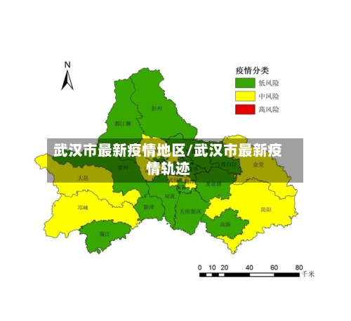 武汉市最新疫情地区/武汉市最新疫情轨迹-第1张图片
