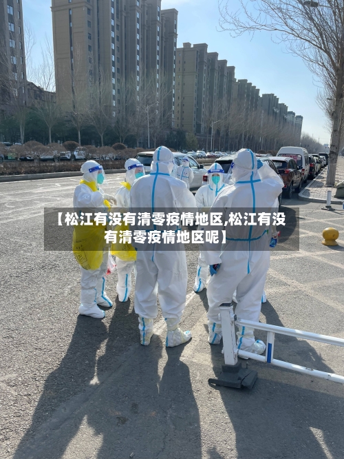 【松江有没有清零疫情地区,松江有没有清零疫情地区呢】-第3张图片