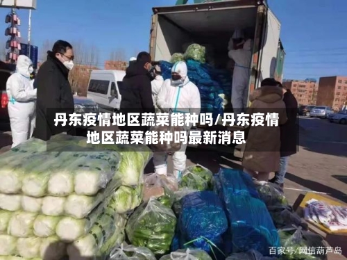 丹东疫情地区蔬菜能种吗/丹东疫情地区蔬菜能种吗最新消息-第2张图片