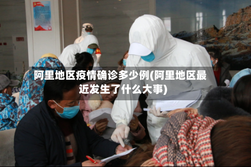 阿里地区疫情确诊多少例(阿里地区最近发生了什么大事)-第2张图片